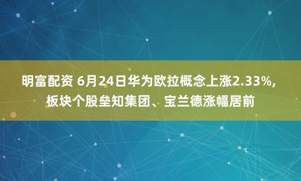 明富配资 6月24日华为欧拉概念上涨2.33%, 板块个股垒知集团、宝兰德涨幅居前