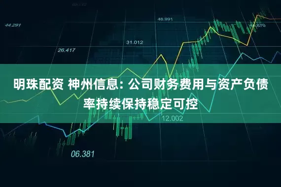 明珠配资 神州信息: 公司财务费用与资产负债率持续保持稳定可控