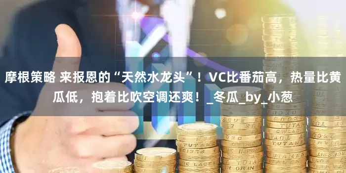 摩根策略 来报恩的“天然水龙头”！VC比番茄高，热量比黄瓜低，抱着比吹空调还爽！_冬瓜_by_小葱