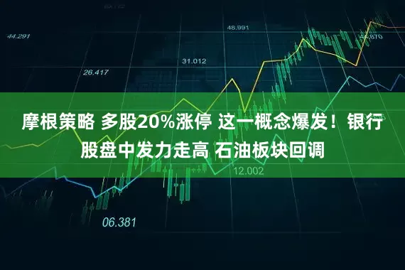 摩根策略 多股20%涨停 这一概念爆发！银行股盘中发力走高 石油板块回调